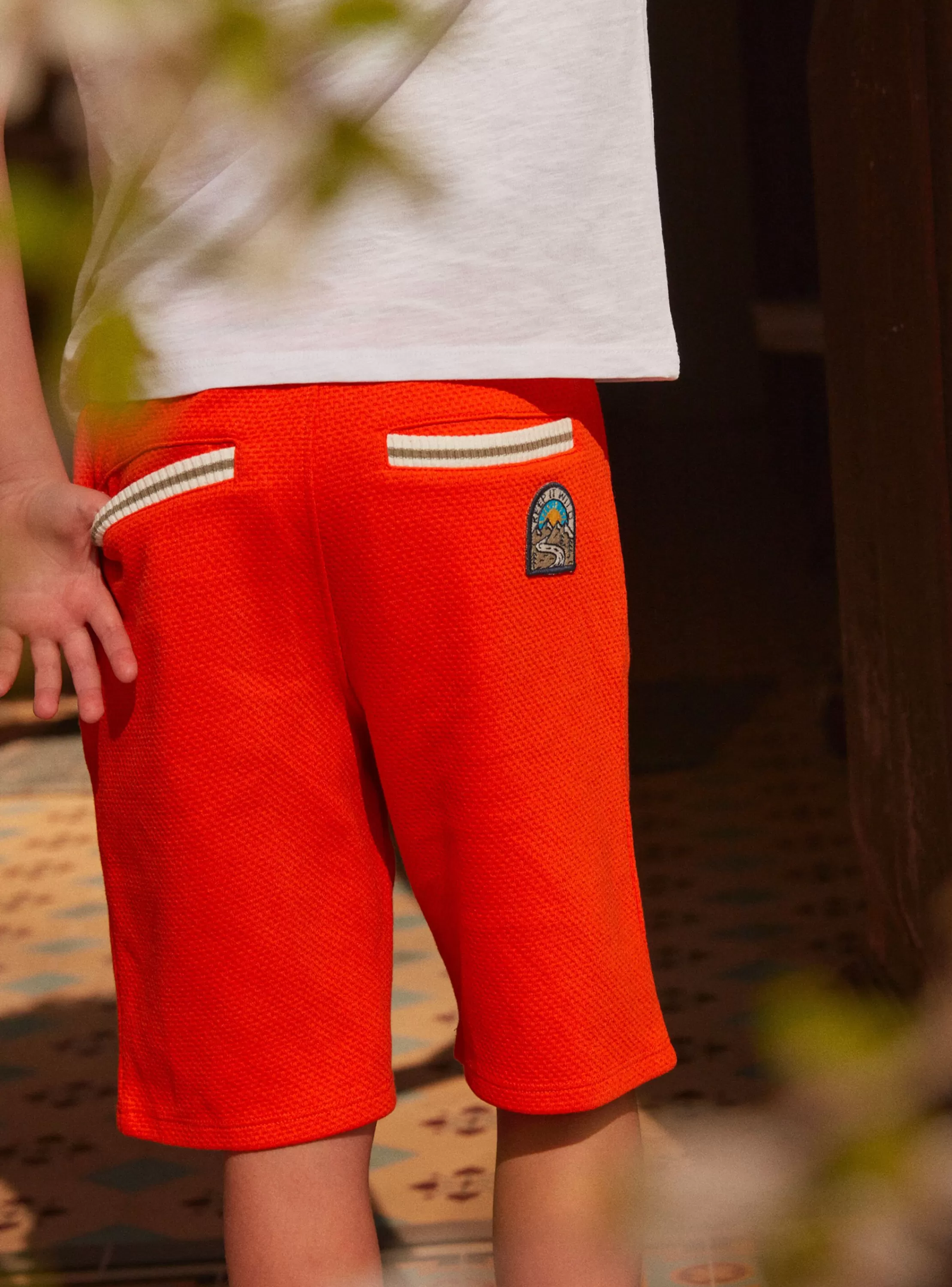 Clearance Sergent Major Bermuda Orange