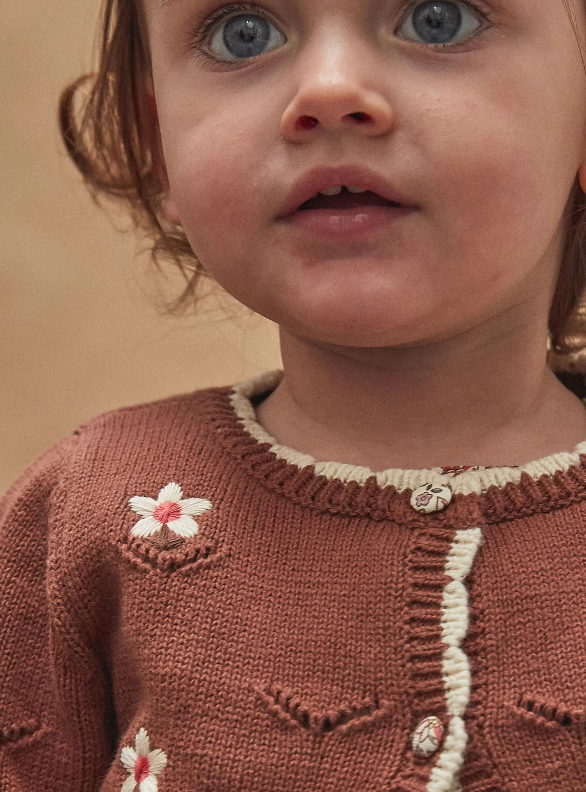Best Sergent Major Cardigan Marron