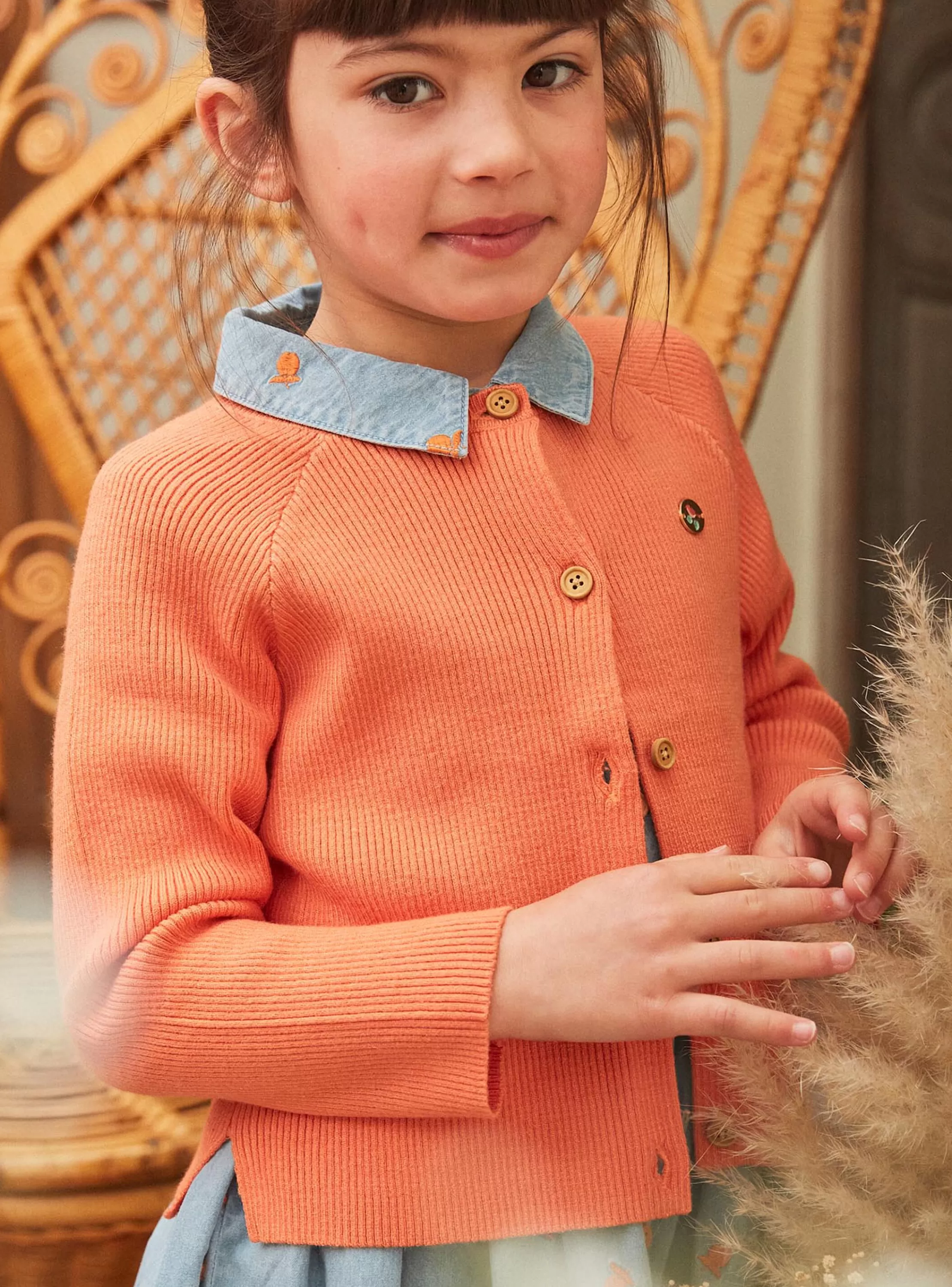 Online Sergent Major Cardigan orange en tricot