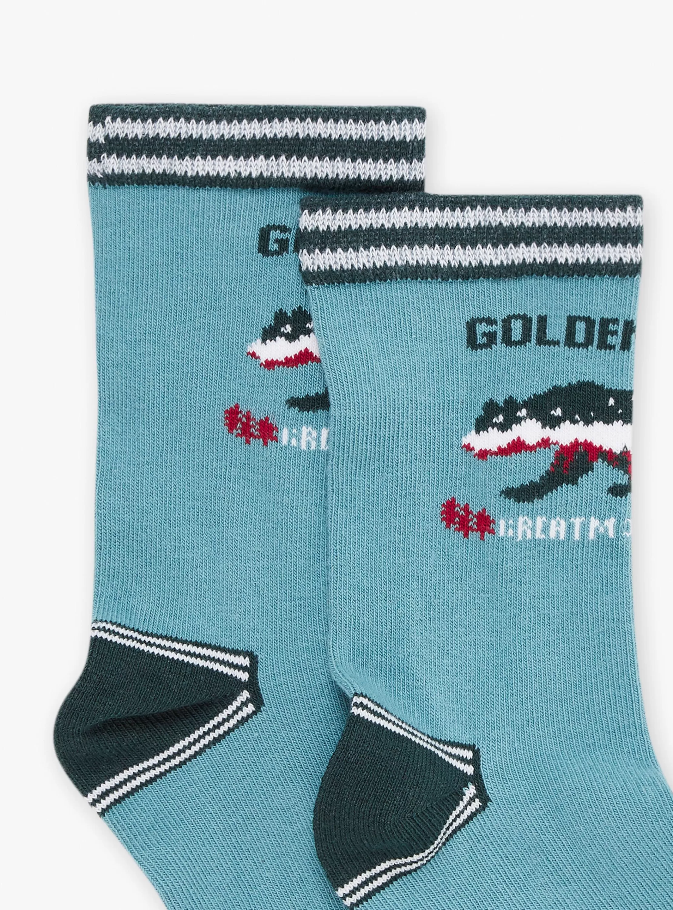 Best Sergent Major Chaussettes bleues à jacquard ours