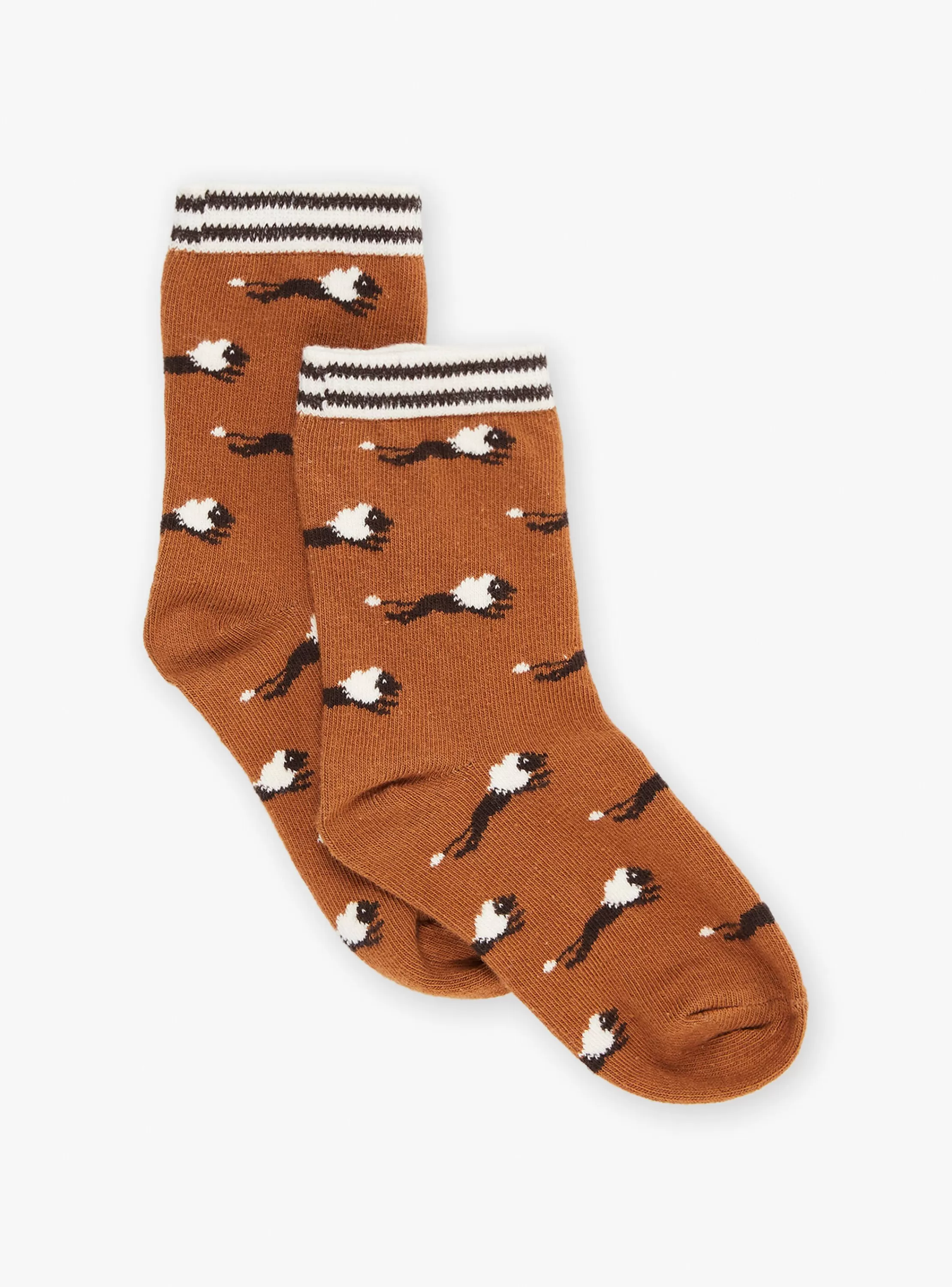 Flash Sale Sergent Major Chaussettes marron à imprimé lion