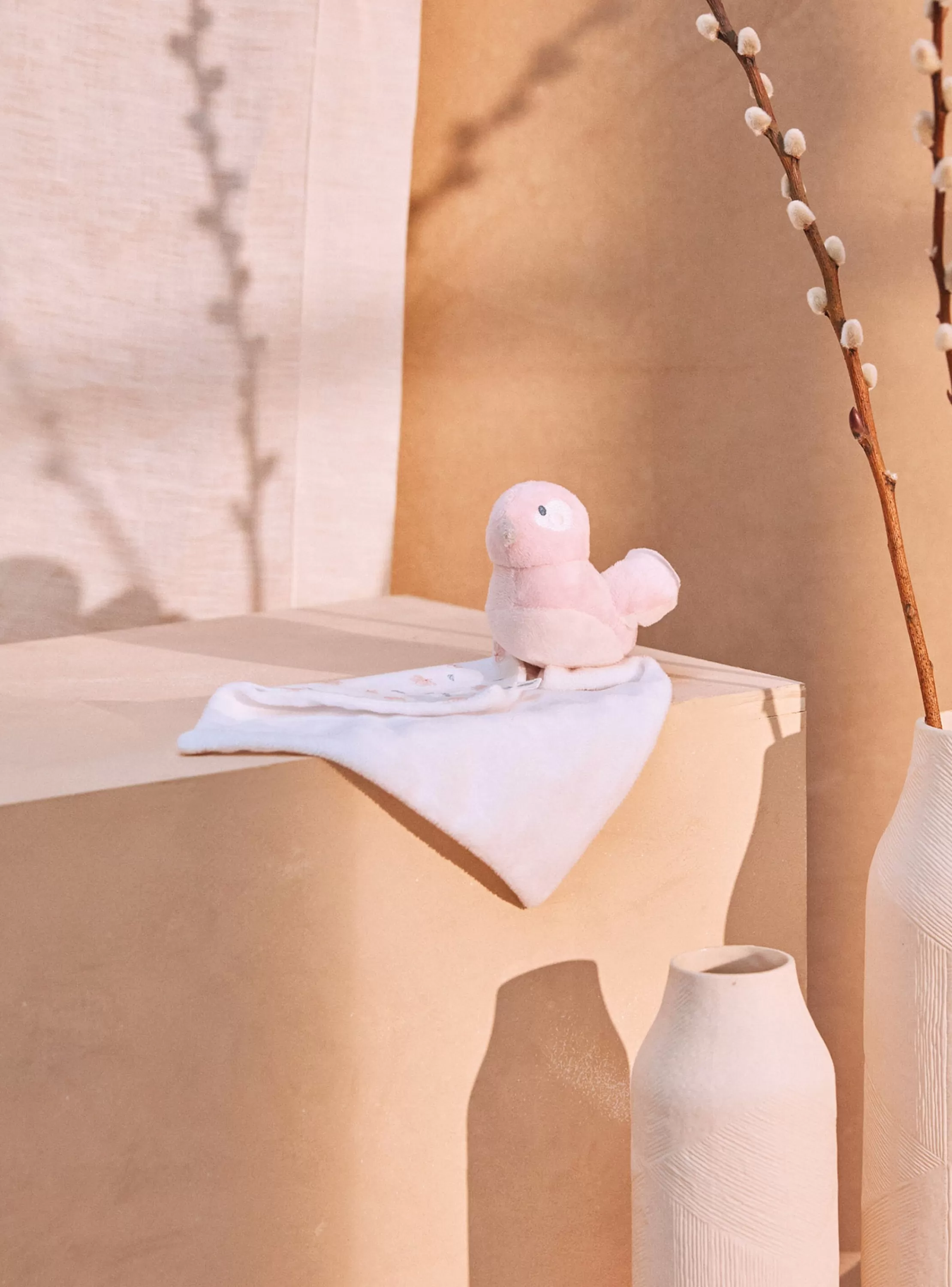 Sale Sergent Major Doudou de naissance oiseau
