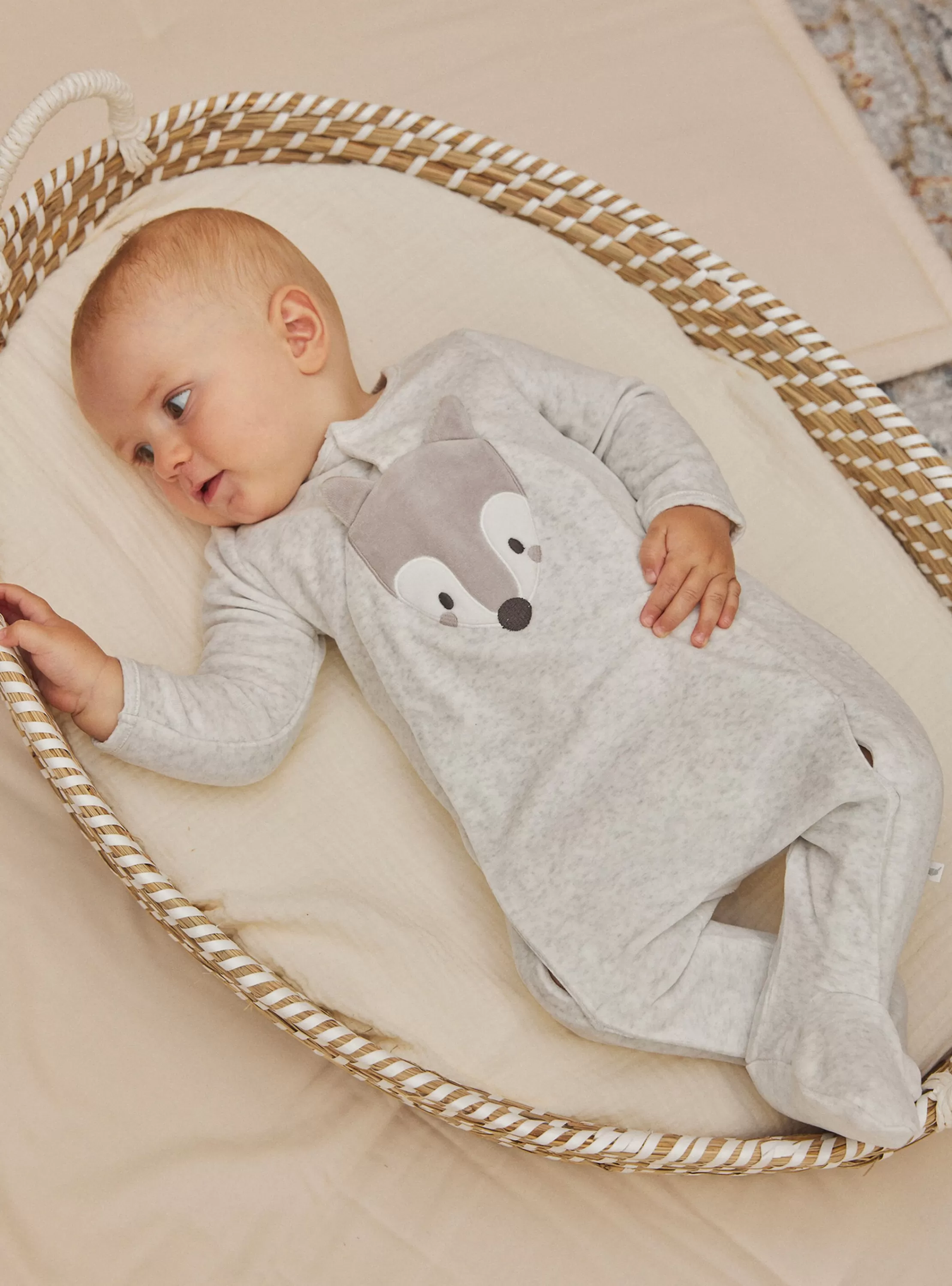 Clearance Sergent Major Grenouillière gris clair en velours