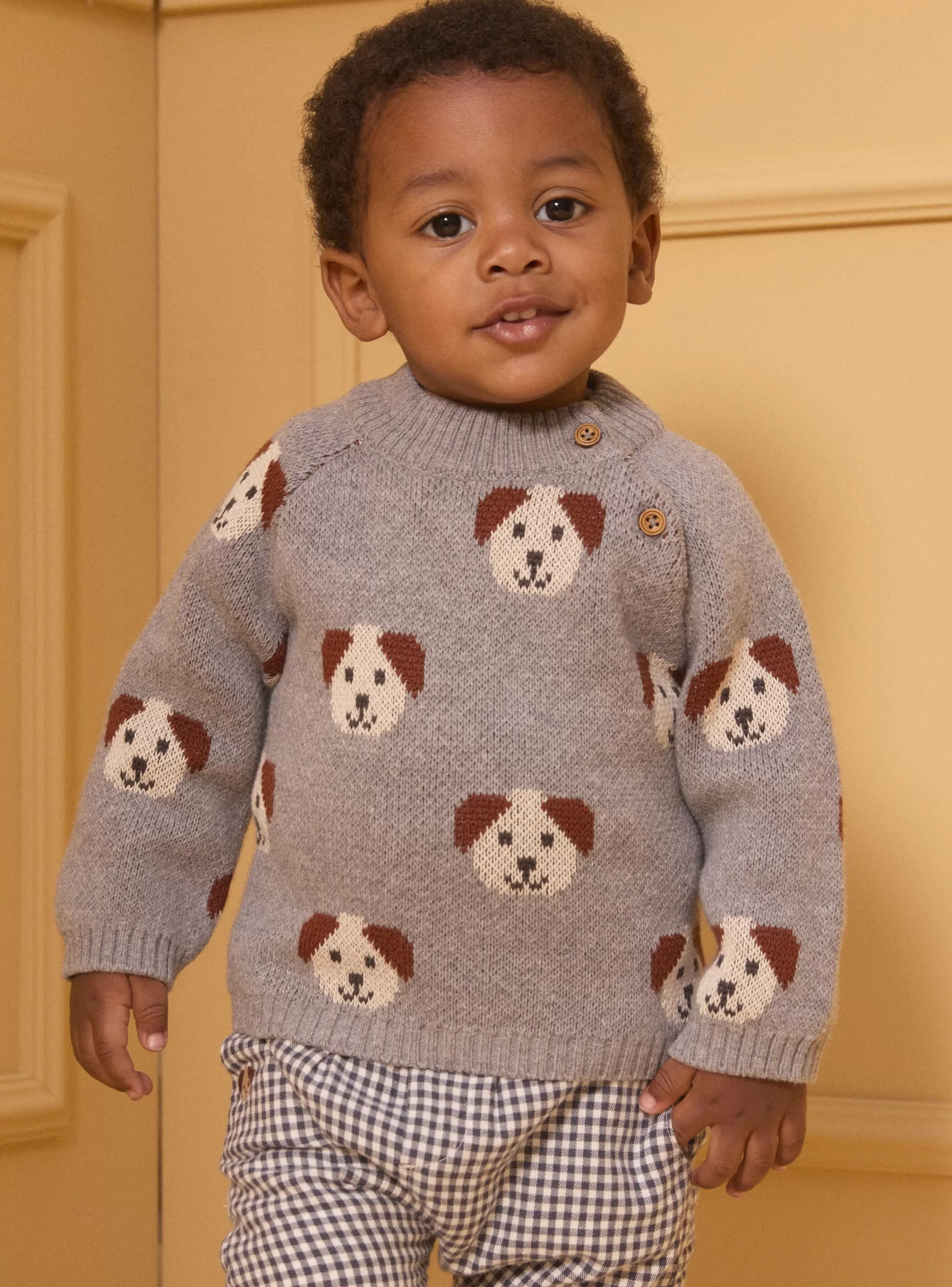 Shop Sergent Major Pull jacquard chiens