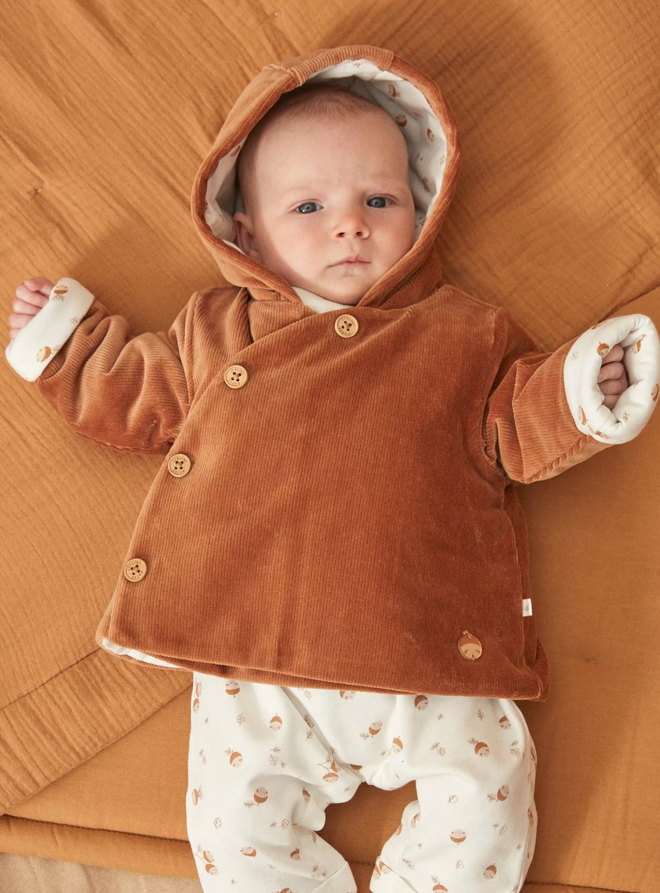 Online Sergent Major Veste de naissance caramel en velours côtelé