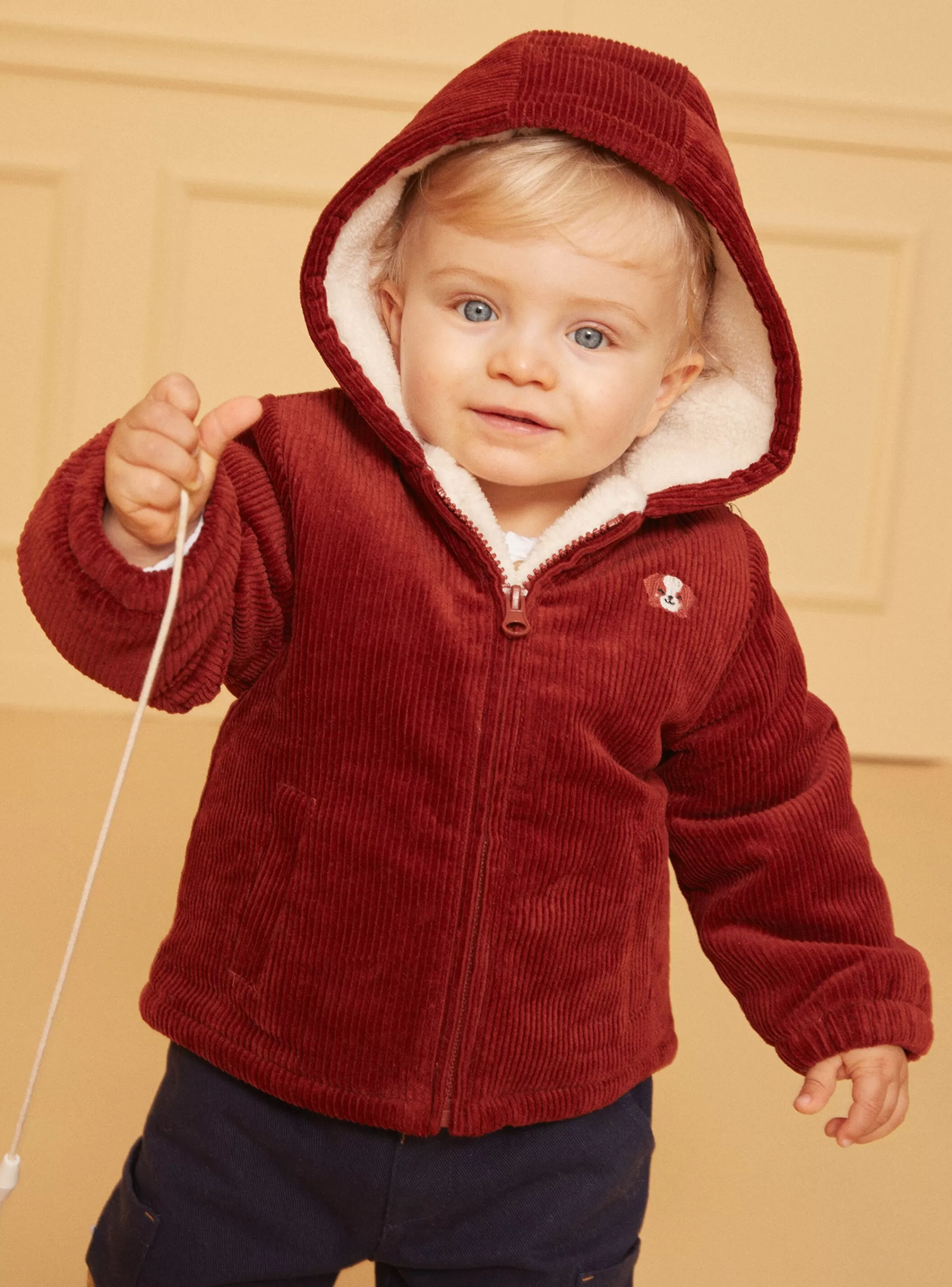 Outlet Sergent Major Veste Marron