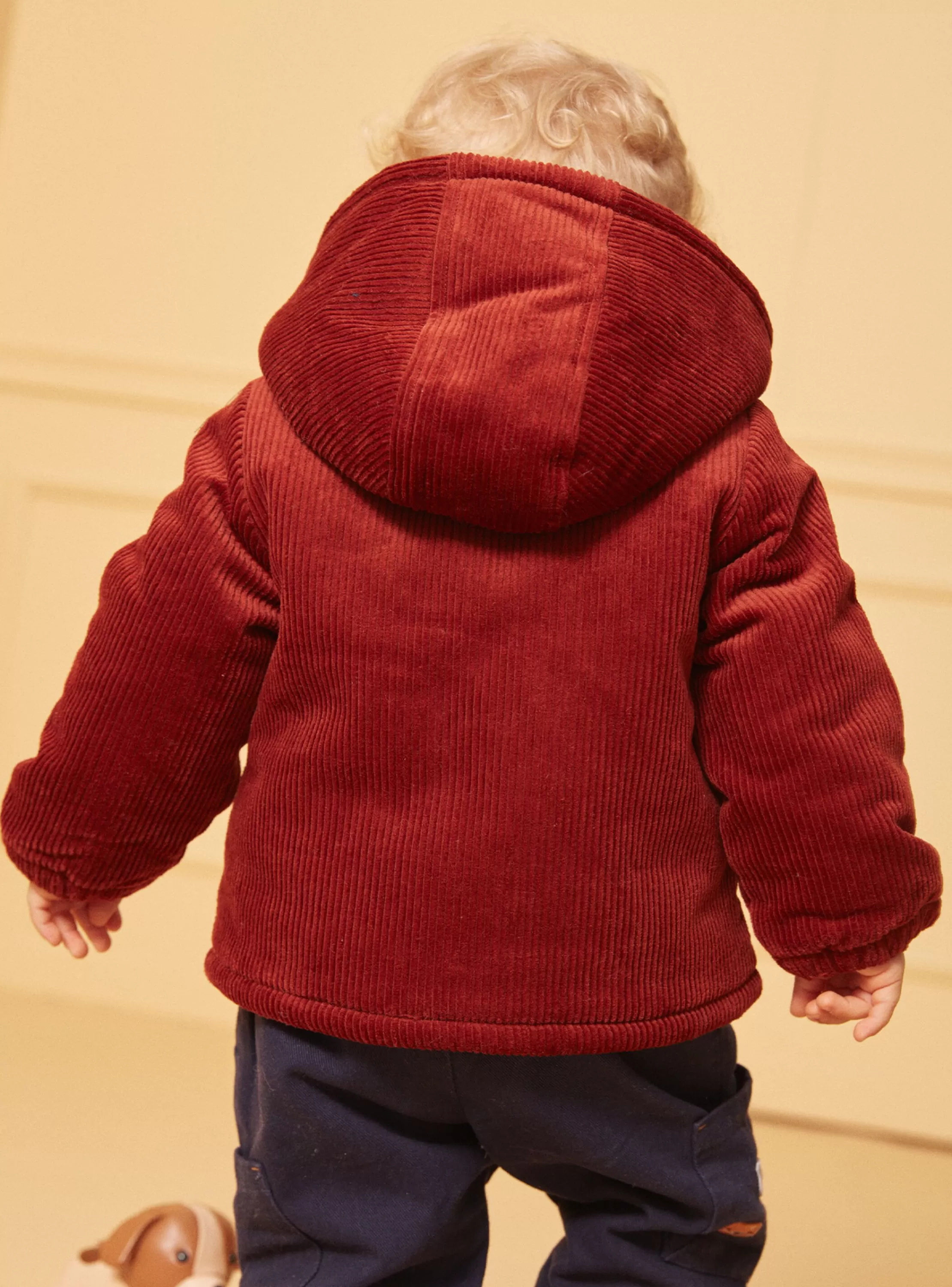 Outlet Sergent Major Veste Marron
